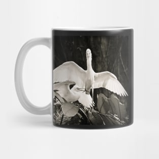 Cattle egret courtship display Mug